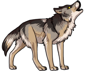 Wolf Wolf border=