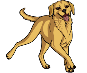 Labrador Retriever border=