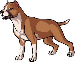 American Staffordshire Terrier border=