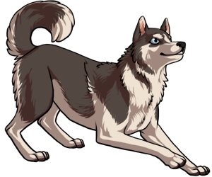 Siberian Husky Siberian Husky border=