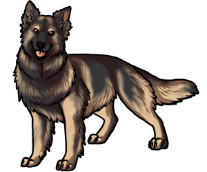 Shiloh Shepherd border=