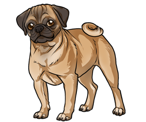 Pug Pug border=
