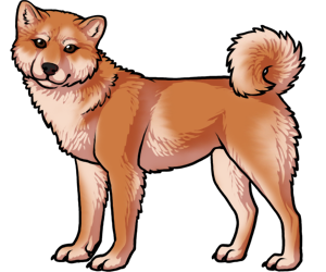 Shiba Inu border=