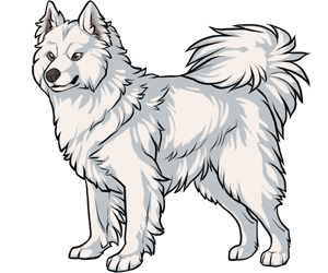 Samoyed Samoyed border=