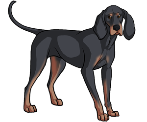 Black And Tan Coonhound border=