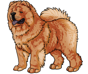 Chow Chow border=