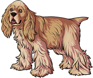 Cocker Spaniel Cocker Spaniel border=