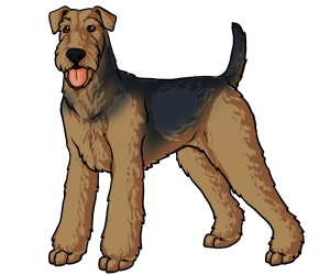 Airedale Terrier border=