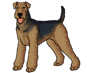 Airedale Terrier Airedale Terrier border=