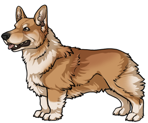 Pembroke Welsh Corgi border=