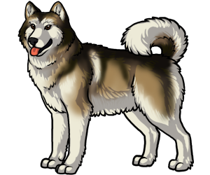 Alaskan Malamute border=