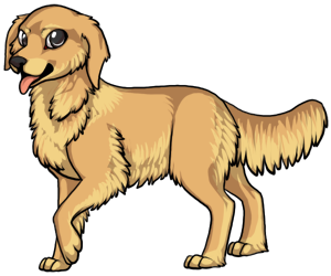 Golden Retriever Golden Retriever border=