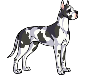 Great Dane Great Dane border=