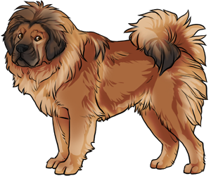 Tibetan Mastiff border=